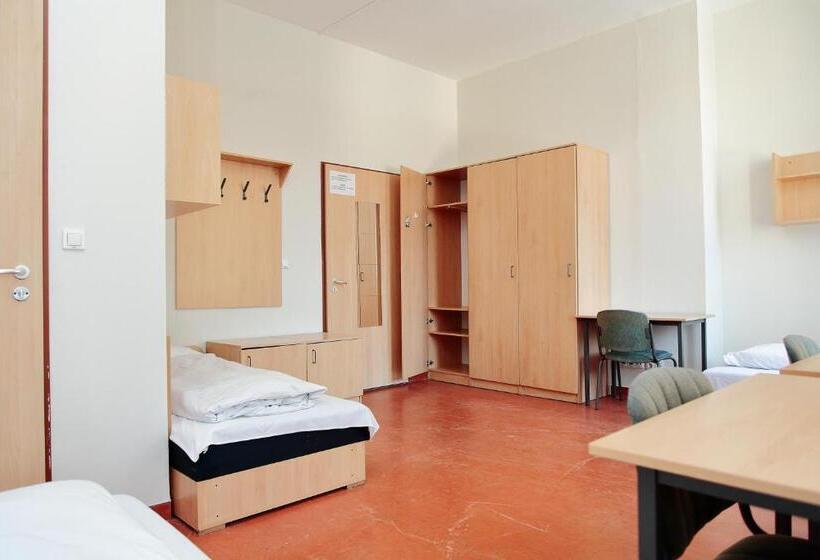 标准三人间, Pop Up Hostels  Downtown