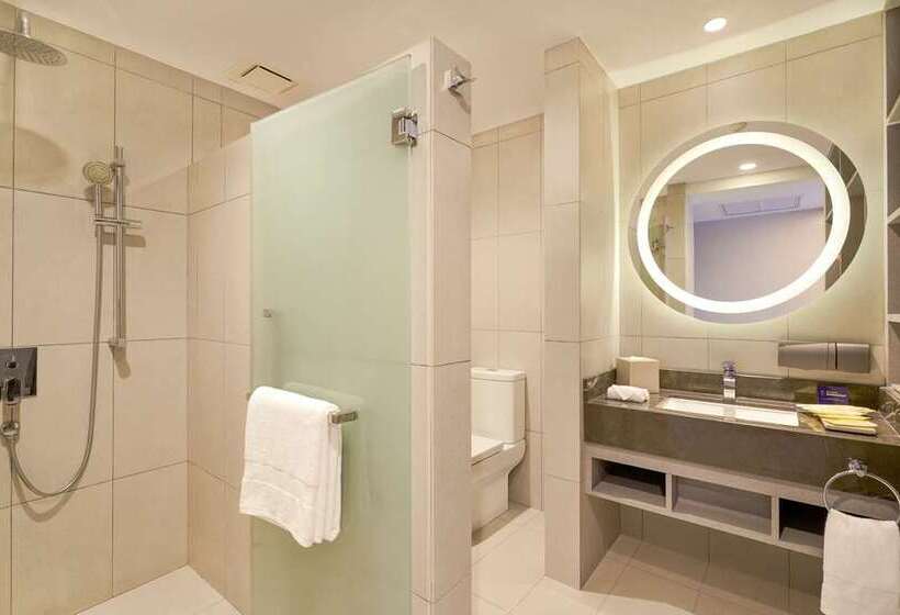 Стандартный Номер Кровать Кинг, Hilton Evianlesbains