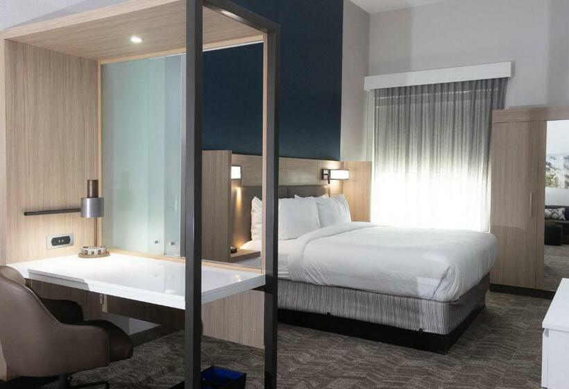 Люкс Кровать Кинг, Springhill Suites By Marriott Slidell