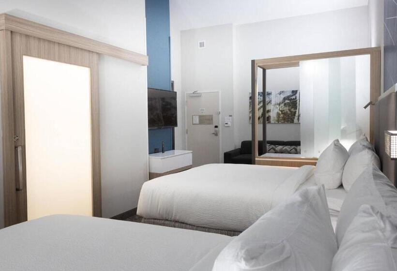 Люкс, Springhill Suites By Marriott Slidell