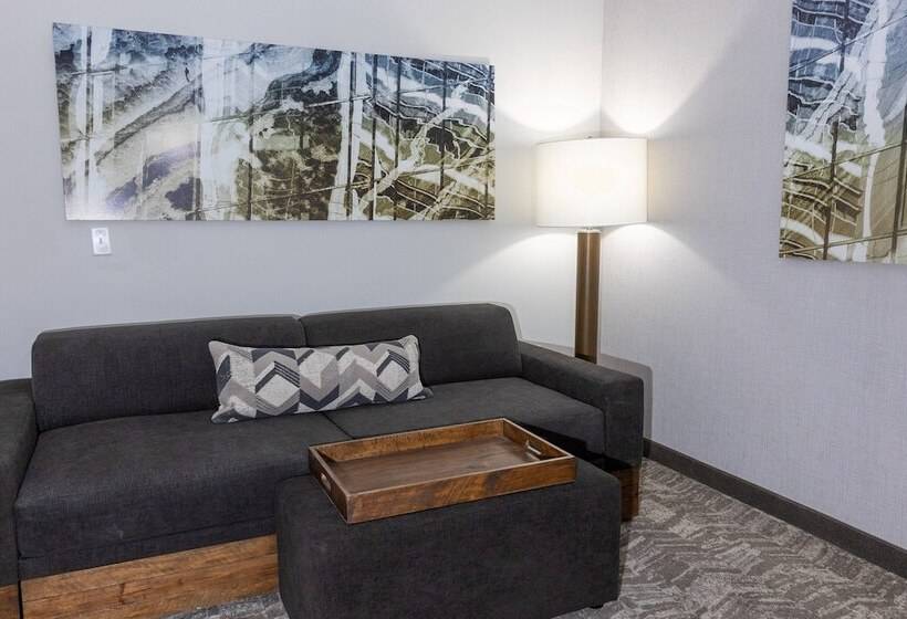Люкс, Springhill Suites By Marriott Slidell