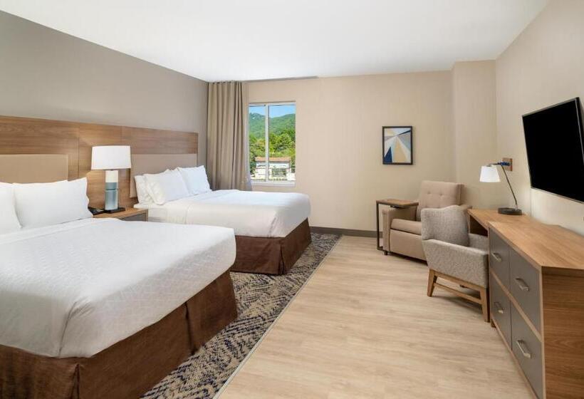 带四张床的标准工作室, Candlewood Suites   Asheville Downtown, An Ihg