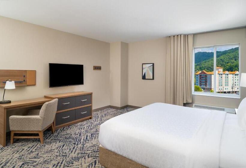 高级工作室, Candlewood Suites   Asheville Downtown, An Ihg