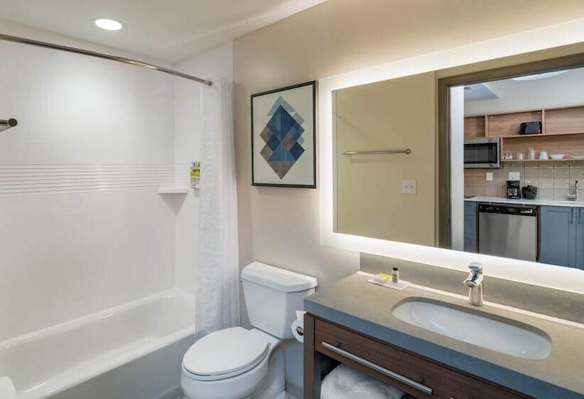 带双人床的标准工作室, Candlewood Suites   Asheville Downtown, An Ihg