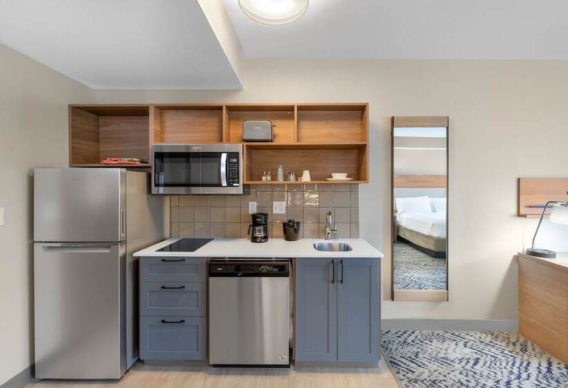 带双人床的标准工作室, Candlewood Suites   Asheville Downtown, An Ihg