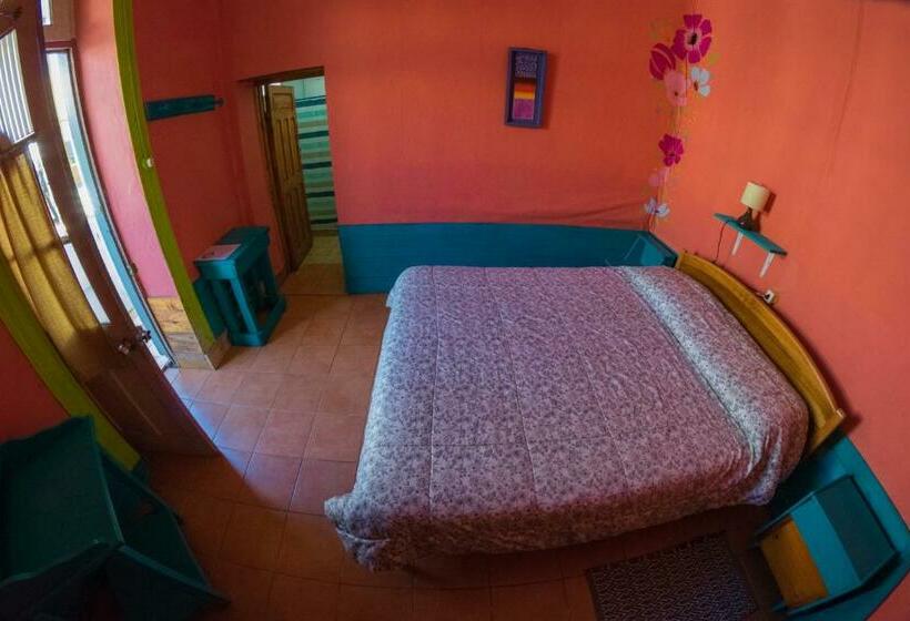 اتاق استاندارد, Bichon La Casa Hostal