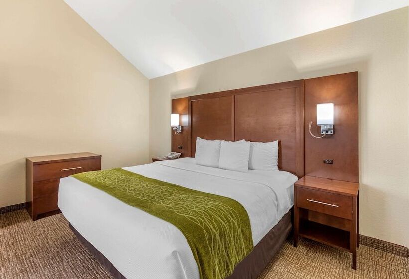 Люкс Адаптированный для Инвалидов, Comfort Inn & Suites Greeley