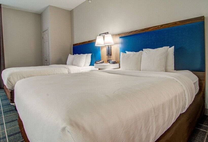 Номер Стандарт Адаптированный для Инвалидов, Comfort Suites Newport News Airport