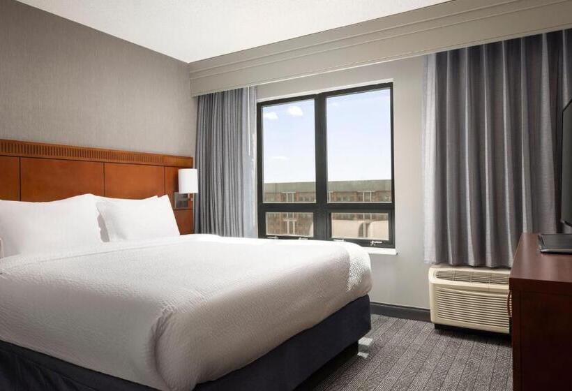 سوئیت با تخت بزرگ, Courtyard By Marriott Washington Capitol Hill/navy Yard
