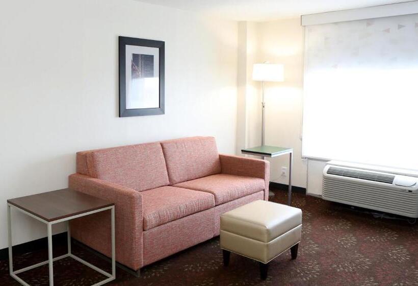 Suite, Holiday Inn O Hare Area, An Ihg