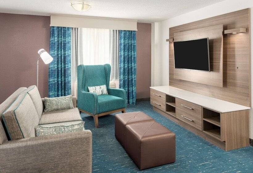 סוויטה, Hilton Garden Inn Lafayette/cajundome