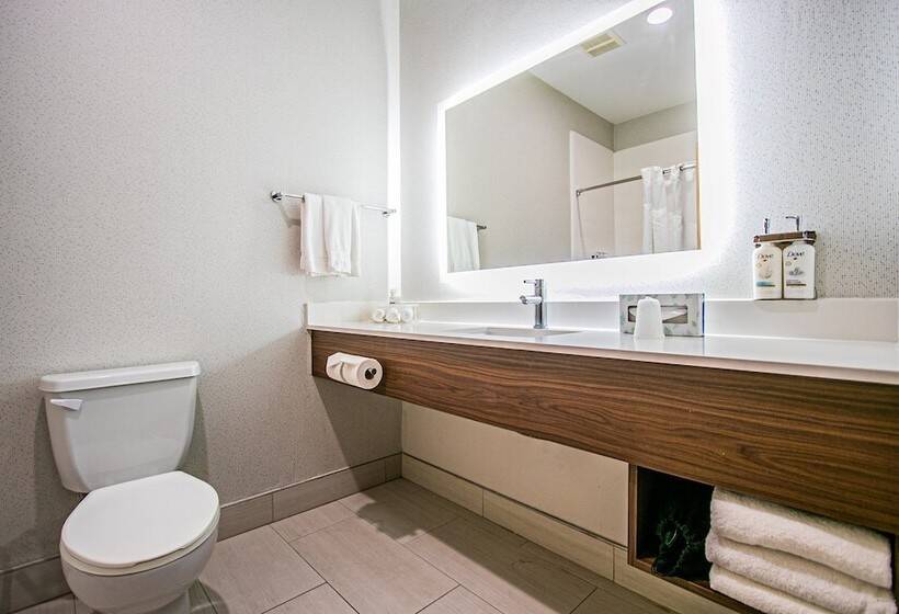 Номер Стандарт, Holiday Inn Express Hotel And Suites South Padre Island, An Ihg