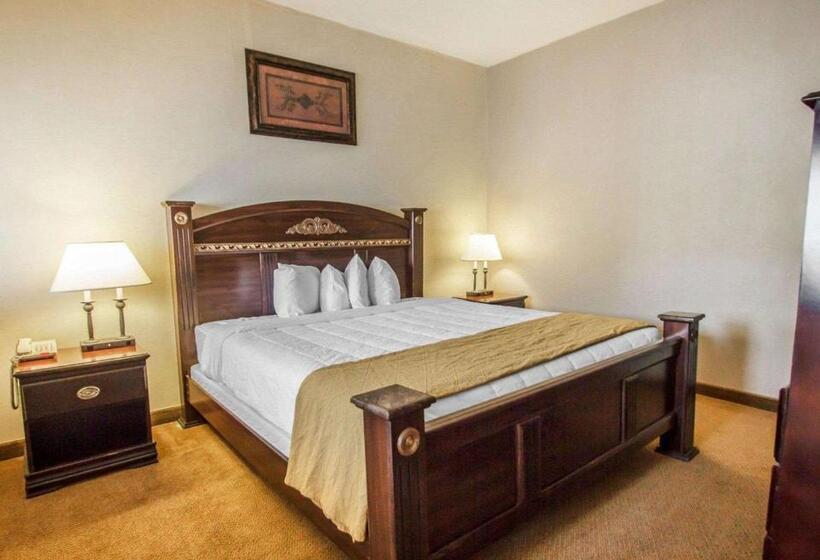 标准间, Americas Best Value Inn Torrington Ct