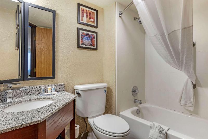 Стандартный Номер Кровать Кинг, Comfort Inn & Suites Albuquerque Downtown