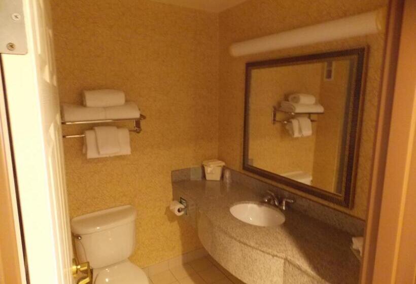 Стандартный Номер Кровать Кинг, Holiday Inn Express Syracuse Fairgrounds, An Ihg