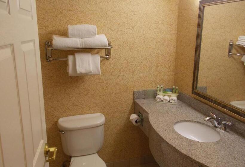 Номер Стандарт Адаптированный для Инвалидов, Holiday Inn Express Syracuse Fairgrounds, An Ihg