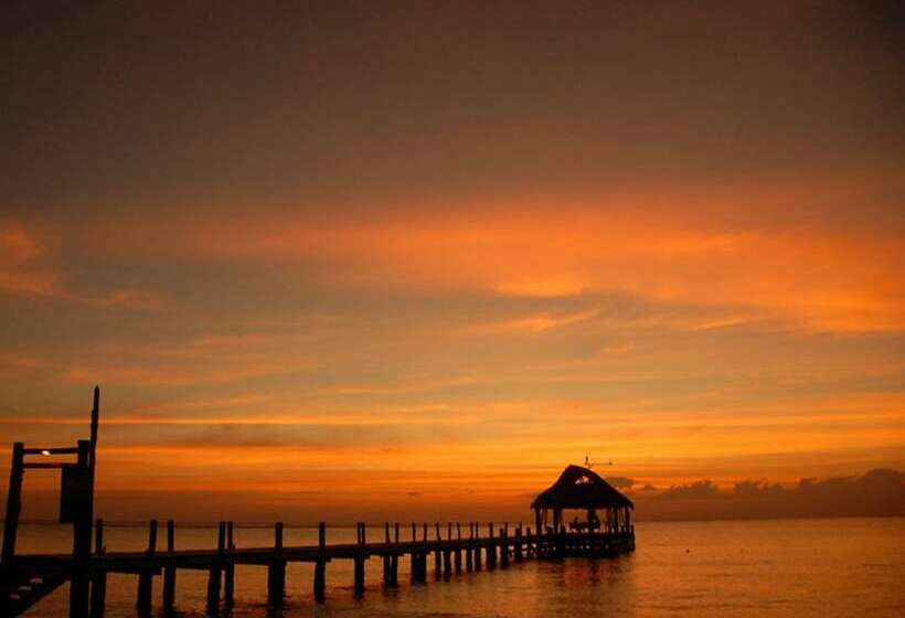 Apartament Junior Suite Club z widokiem na basen, Secrets Aura Cozumel   Adults Only