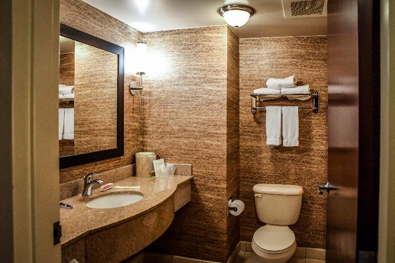 Люкс Кровать Кинг, Holiday Inn Express Hotel & Suites   Concord, An Ihg