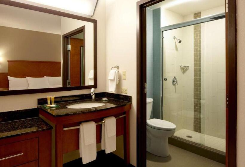 اتاق استاندارد با تخت بزرگ, Hyatt Place Chantilly Dulles Airport South