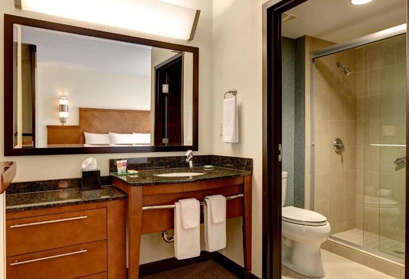 اتاق استاندارد با تخت بزرگ, Hyatt Place Chantilly Dulles Airport South