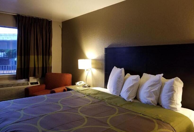 带大床的豪华间, Super 8 By Wyndham San Antonio Pearl District / Downtown
