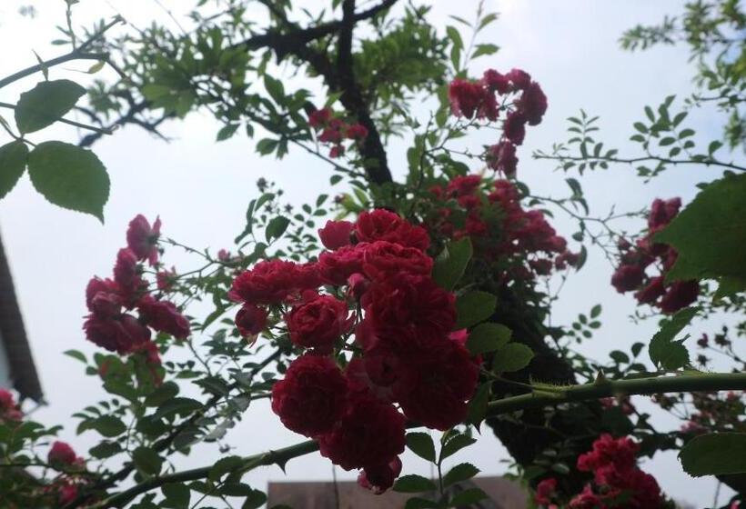 اتاق استاندارد با تراس, Mây Núi Homestay
