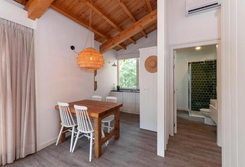 Студия Стандарт, Cabanas Da Viscondessa