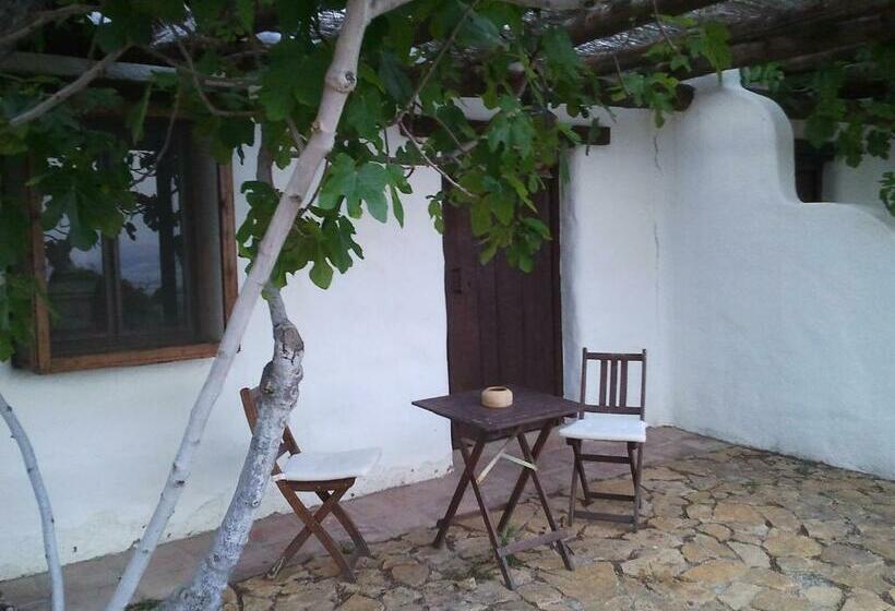 テラス付きスタンダードルーム, Rural Cortijo La Alberca