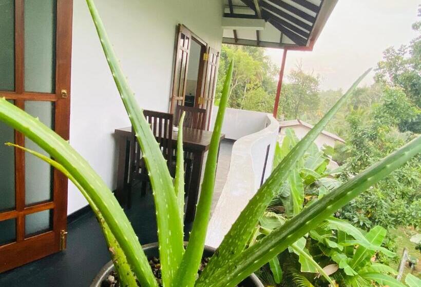 标准间带阳台, Sun White Villa
