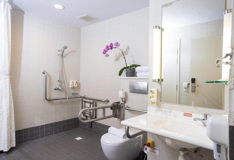 اتاق سوپریور یک تخته, Ibis Singapore On Bencoolen