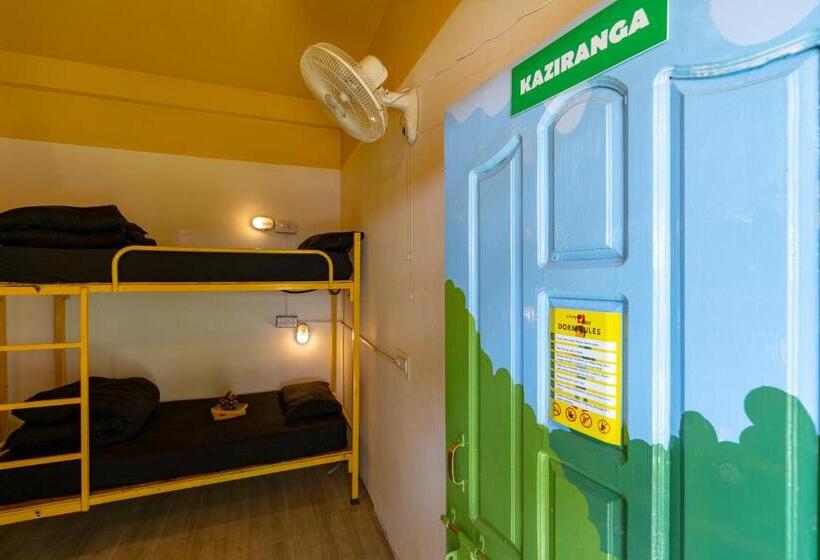 공동 객실, Jungle Hostel By Whoopers