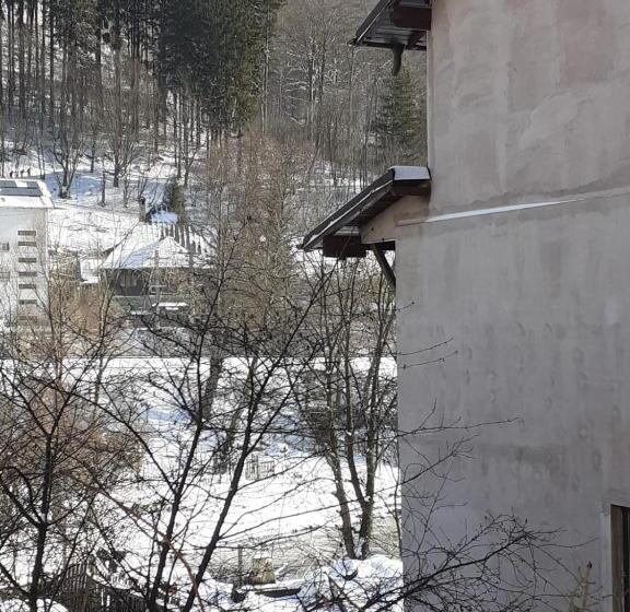 غرفة سوبيريور, Casa Ryana Sinaia