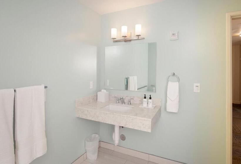 장애인을 위한 킹사이즈 침대 스탠다드 룸, Inn At Moss Landing Point