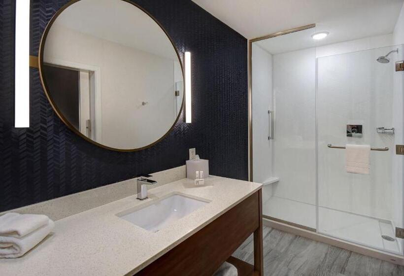 Люкс Адаптированный для Инвалидов, Fairfield By Marriott Inn & Suites Grand Rapids Wyoming