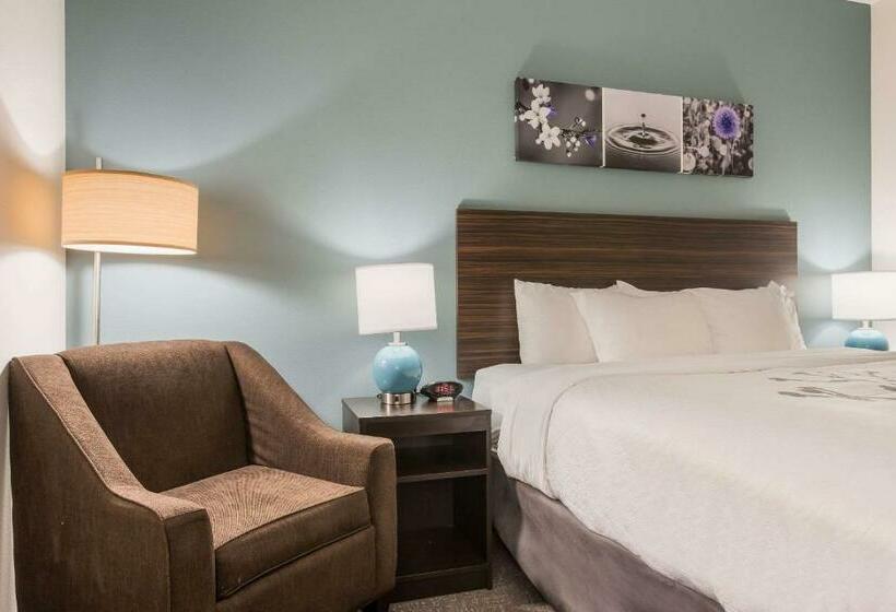 Стандартный Номер Кровать Кинг, Sleep Inn & Suites Webb City