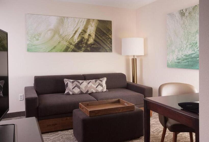 Люкс Адаптированный для Инвалидов, Springhill Suites Orlando Airport