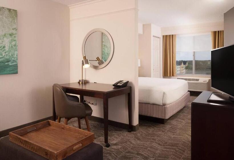Люкс Адаптированный для Инвалидов, Springhill Suites Orlando Airport