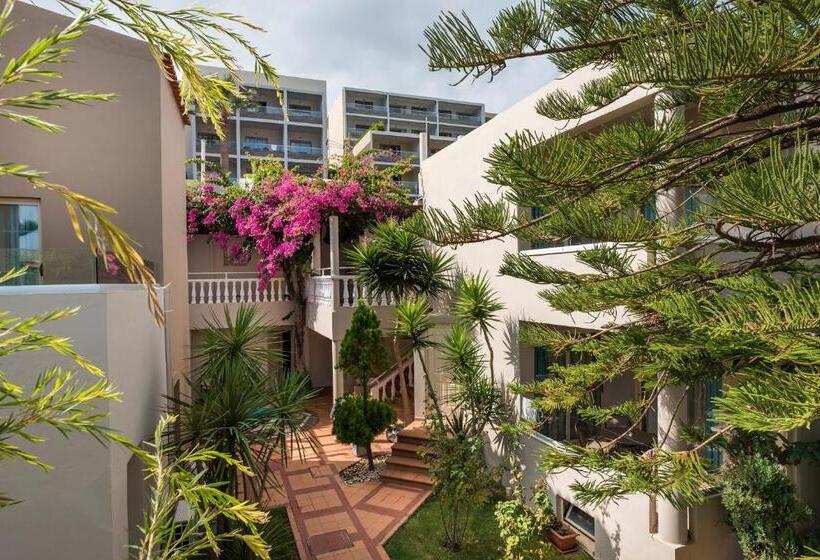 Студия Стандарт, Elotis Suites