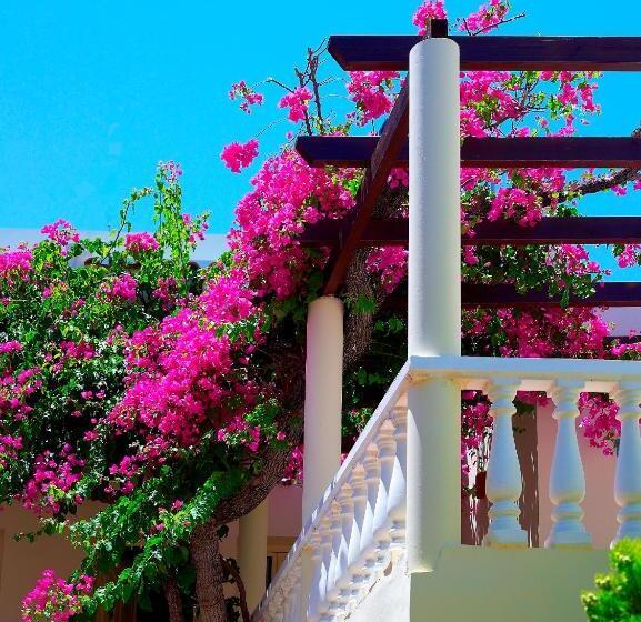 شقة غرفة واحدة, Elotis Suites