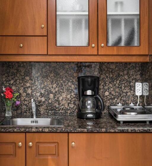 Студия Стандарт, Elotis Suites
