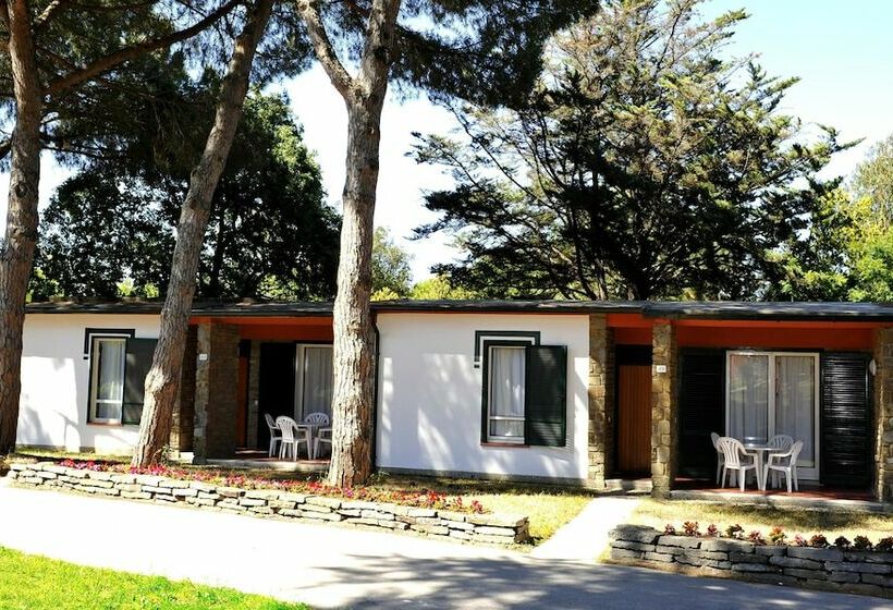 Студия Стандарт, La Serra Resort   Italy Village
