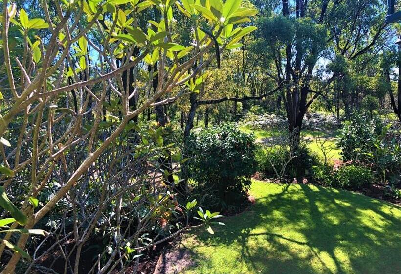 Апартаменты 1 Спальня Нижний Этаж, Hideaway   Tweed Coast Holidays