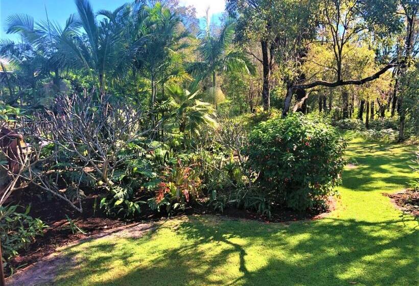 Апартаменты 1 Спальня Нижний Этаж, Hideaway   Tweed Coast Holidays