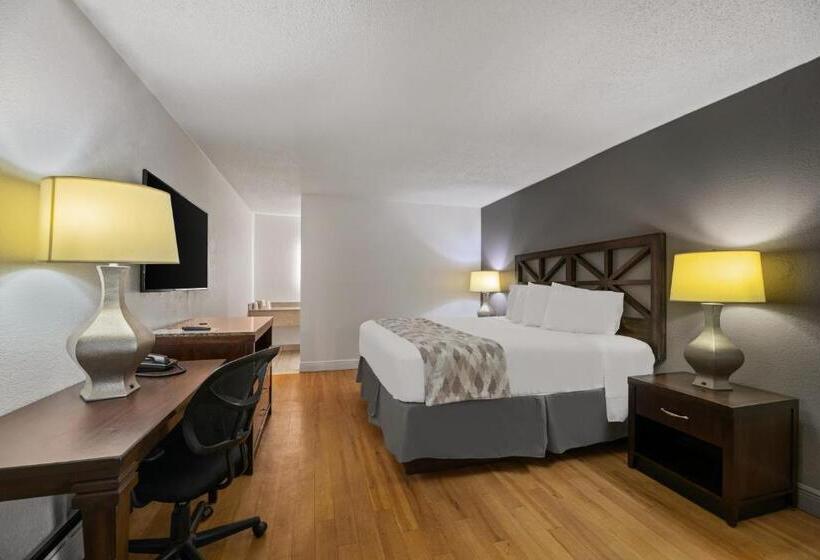 스탠다드 룸 킹사이즈 침대, Americas Best Value Inn Orlando, Fl