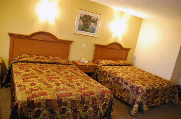 Номер Economy, South Bay Motel
