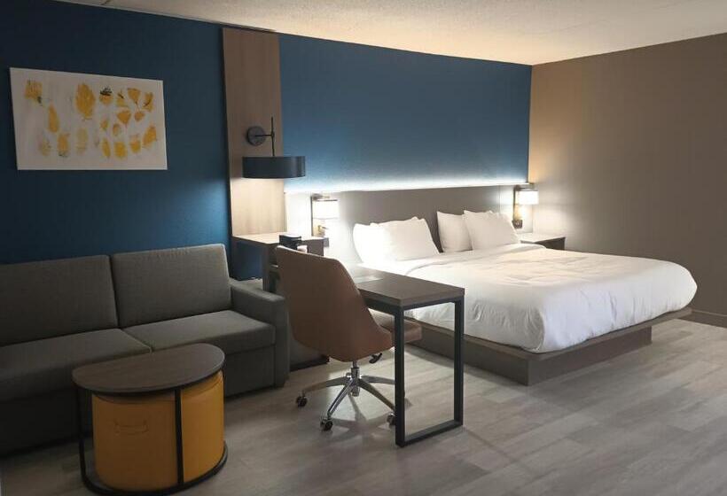 Люкс Кровать Кинг, Rodeway Inn & Suites