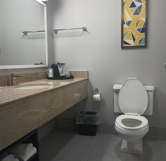 Стандартный Номер Кровать Кинг, Rodeway Inn & Suites