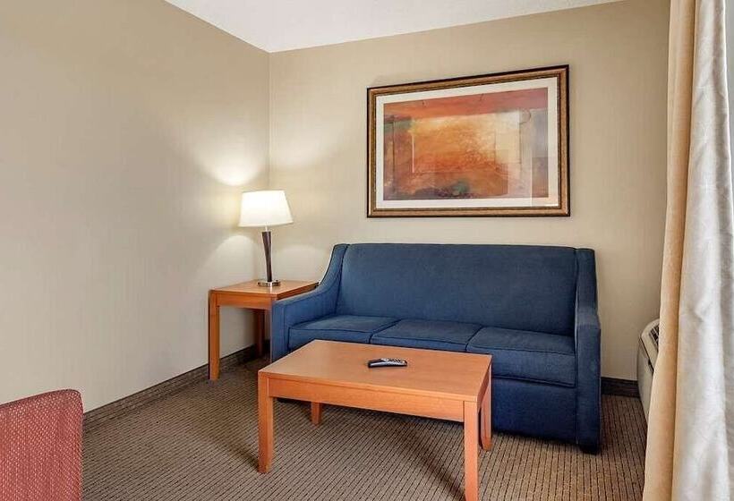 Люкс, Comfort Suites Auburn Hills Detroit