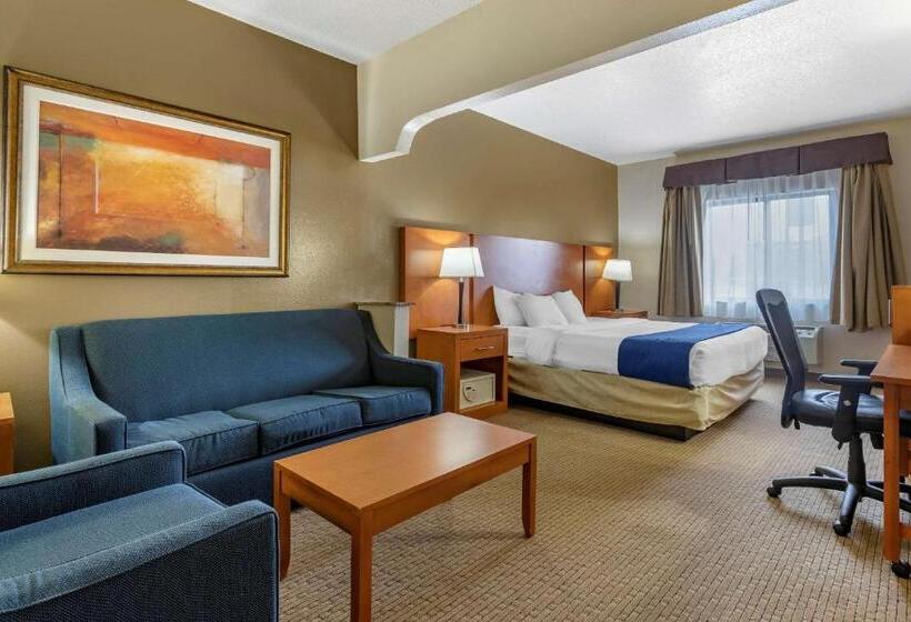 Люкс Адаптированный для Инвалидов, Comfort Suites Auburn Hills Detroit