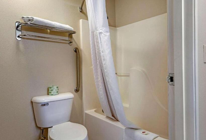 Family Suite, Comfort Suites Auburn Hills Detroit